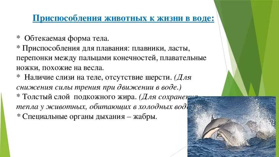Черты приспособления организмов к водной среде обитания. Адатапцияживотных к водной среде. Водная среда жизни приспособление животных. Приспособленность к водной среде. Приспособленность организмов к водной среде.