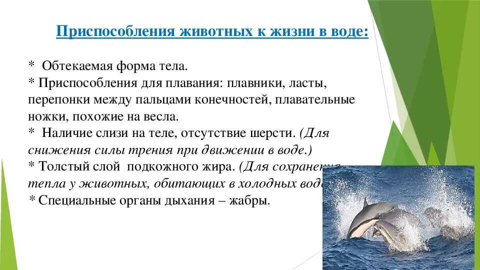 Адатапцияживотных к водной среде. Приспособление организмов к водной среде обитания. Адаптация организмов к водной среде. Приспособления животных к жизни в водной среде.