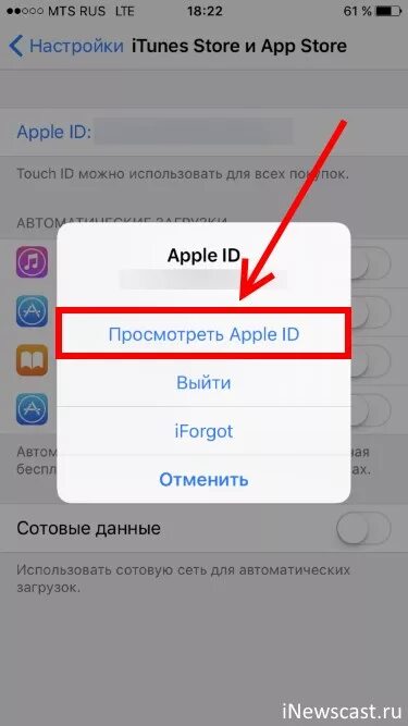 Как оплатить апп стор. Пополнение Apple ID. Apple ID app Store. Счет Apple ID. Пополнить счет Apple ID С телефона.