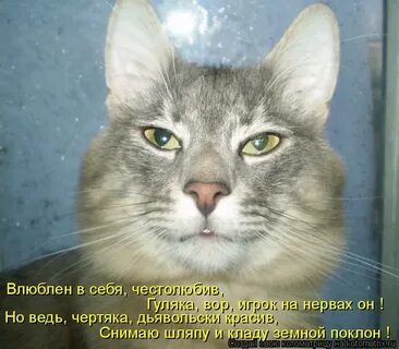 Я не знаю как это сделать