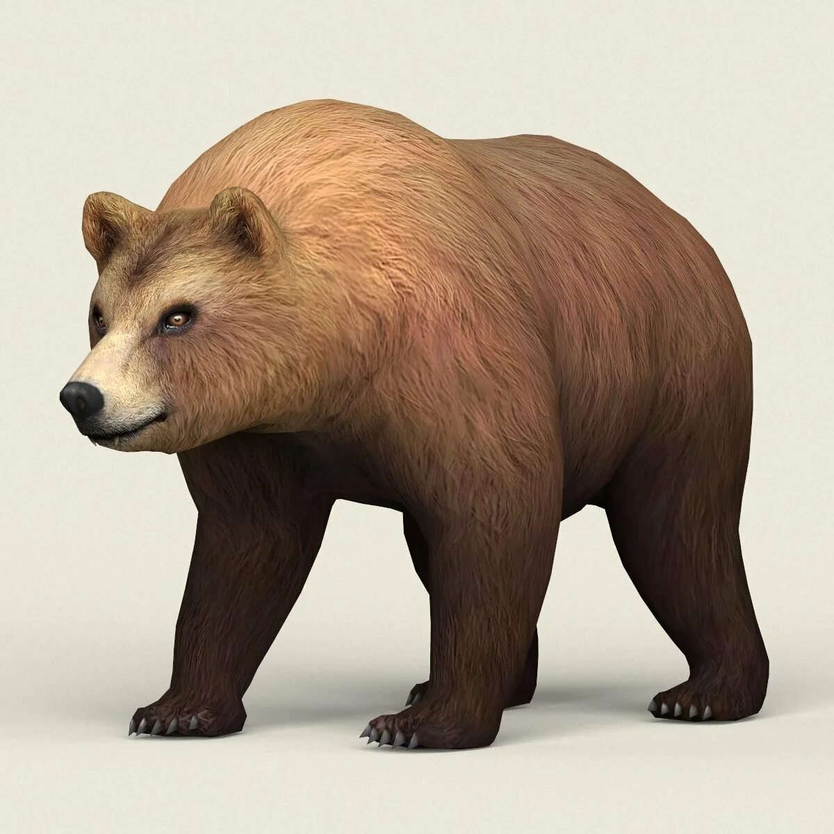 Мишка 3д модель. Модель плюшевого мишки. 3d модель медвежат. Мишка 3 d tous. Мишка 3д модель.