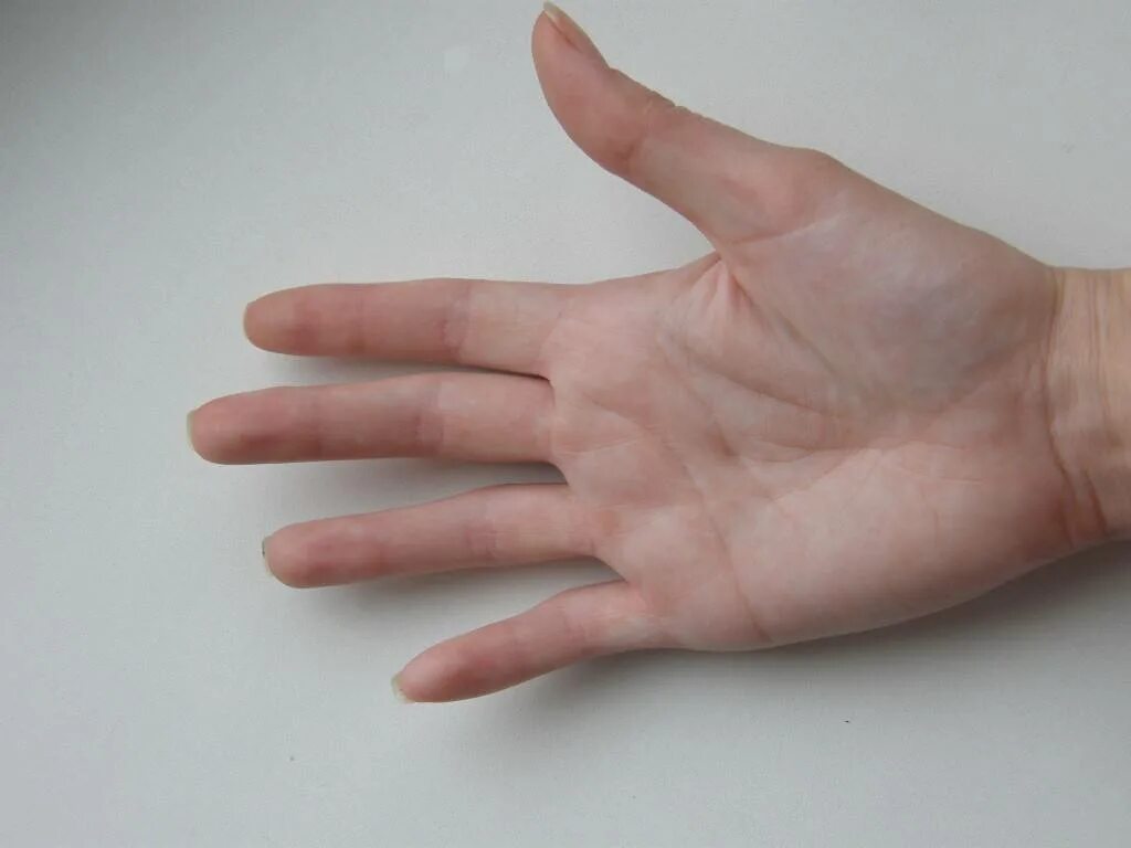 Лицевая сторона руки. Наружная сторона ладони. Тыльной стороной ладони. Тыльная сторона руки.