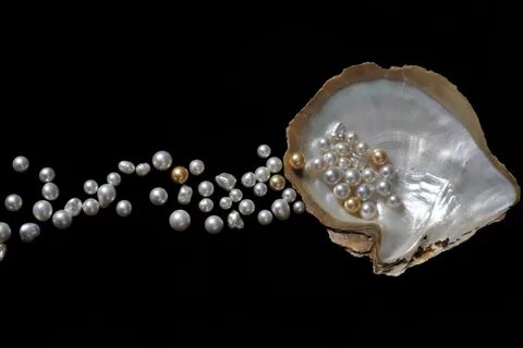 Pearls kingdom