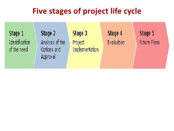 Stages of the life cycle. Stages of the life cycle