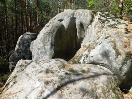 Скрипинские кучуры ульяновская