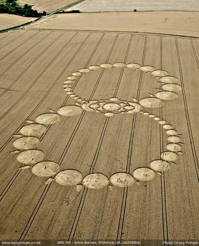 человек в круге. круги на полях 2022. круги на полях. концентрические окружности в природе. милк-хилл круг на поле.