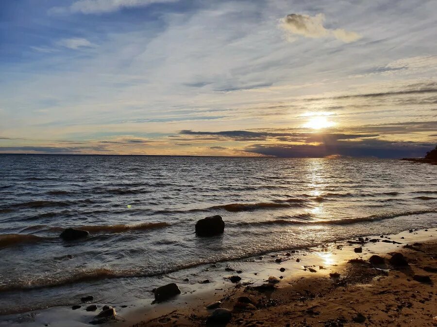 морские дубки лисий нос. лисий нос морской. пляж морские дубки лисий нос. поселок лисий нос санкт-петербург. пляж морские дубки лисий нос.