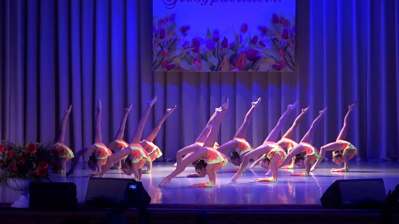 Грация дятьково. Грация чехов ансамбль танца. Шоу группа грация ярославль. Грация видео. Ансамбль грация самара.