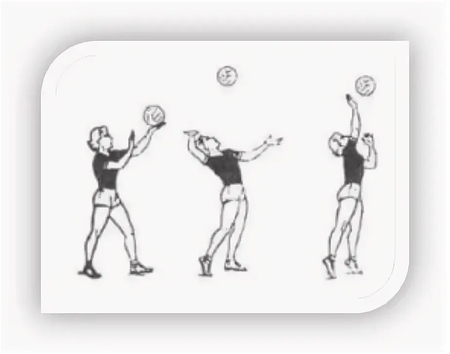 Мяч вводят в игру в волейболе. Подача в волейболе. Подача мяча в волейболе. Верхняя подача в волейболе. Верхняя подача мяча в волейболе.