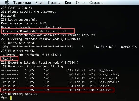 Терминал Shell. Linux Terminal Shell. Контактный терминал Shell. Терминальные оболочки. Shell terminal