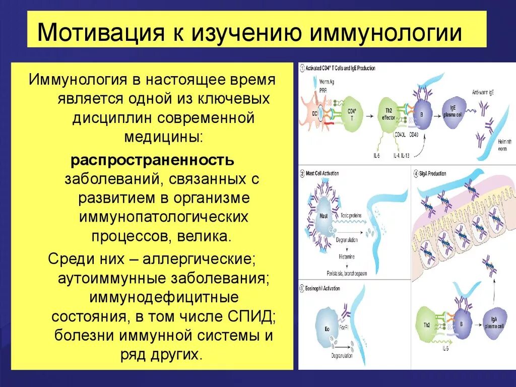 Эволюция иммунной системы. Структурная организация иммунной системы. Белки иммунной системы. Эволюционная иммунология. Прайминг это