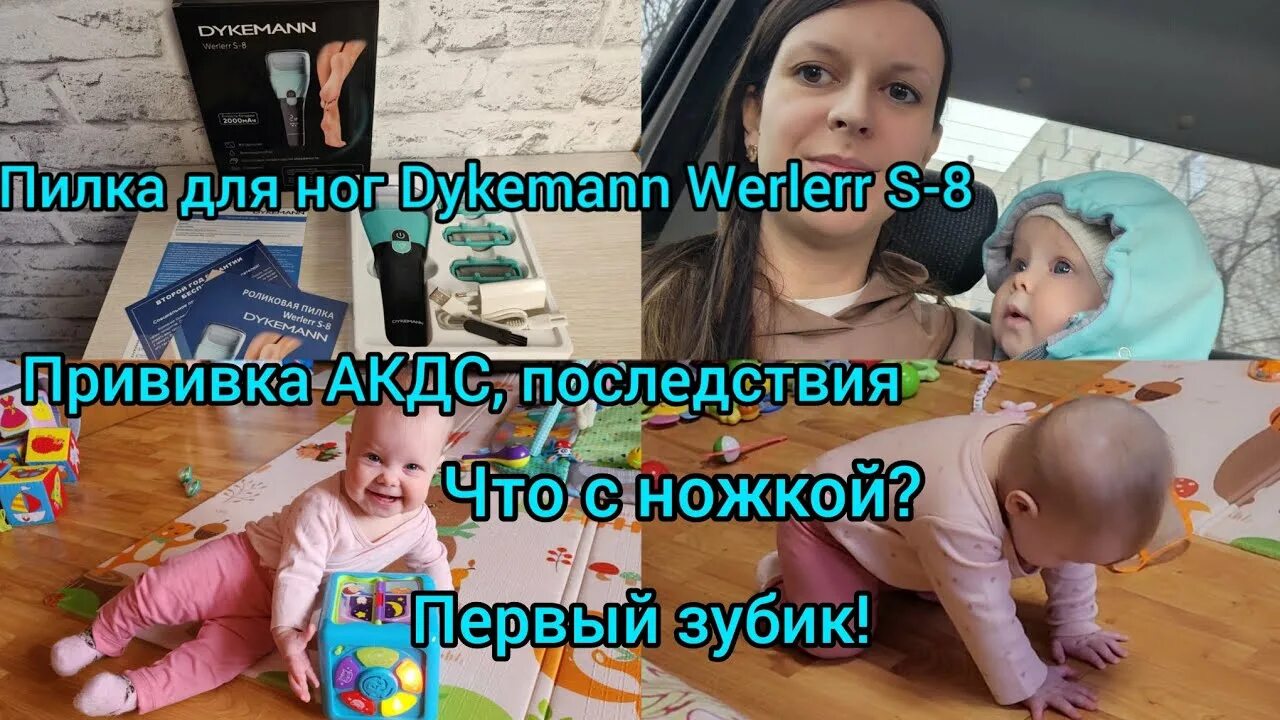 Werlerr s 8