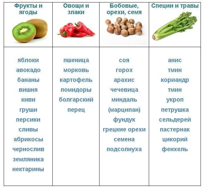 Есть ли аллергия на яблоки. Диета при аллергии на березу. Перекрестная аллергия на березу. Аллергия на томаты перекрестная аллергия. Перекрест аллергии на березу.