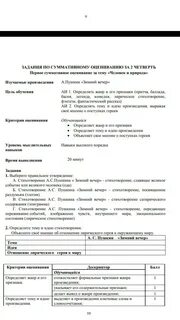 Соч по литературе