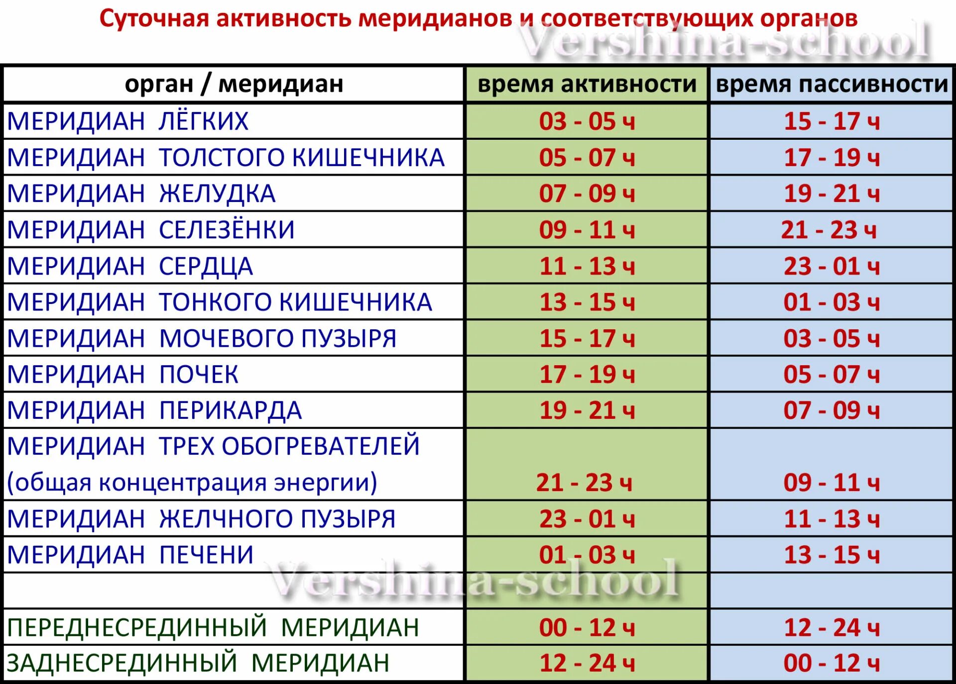 Часы активности меридианов человека. Время активности меридианов человека таблица время. Таблица активности органов человека по часам. Активность органов по часам в течении суток.