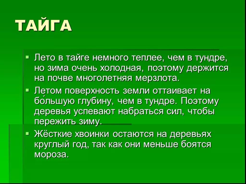 Доклад о тайге. Тайга информация. Доклад про тайгу. Тайга презентация. Тайга краткий рассказ