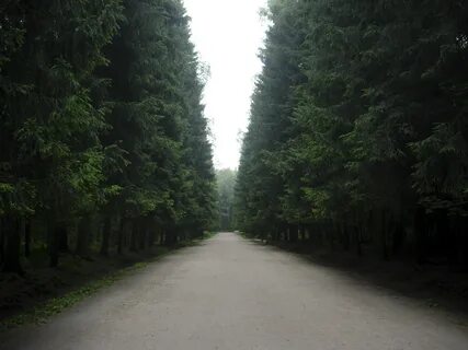 Большая аллея