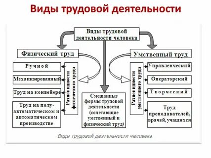 Связаны с определенным видом деятельности