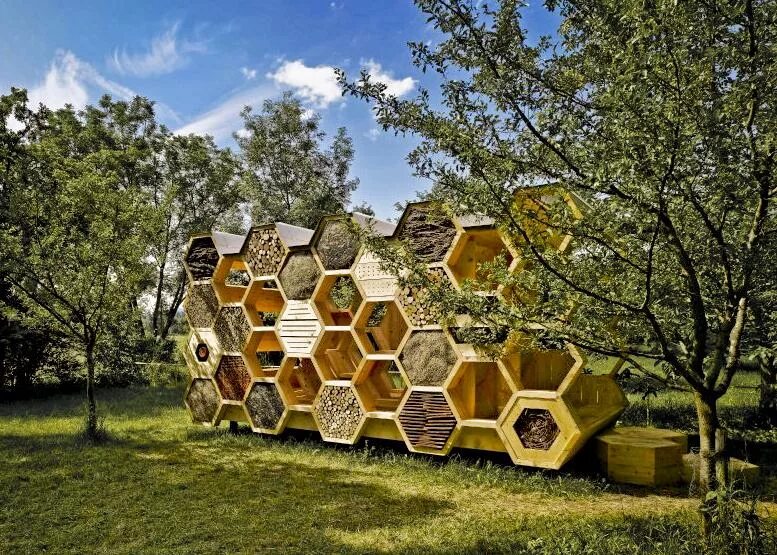 Природные формы дерева. «Дом пчелиных сот» Райт. Пчелиные соты Бионика архитектура. Франция летний павильон. Отель для насекомых парк Швейцария.