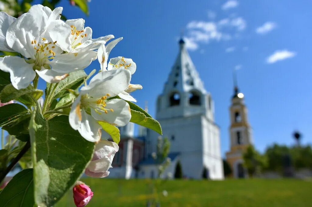 Весеннее цветение Родины моей. Весенняя Россия. Россия цветущей весной.