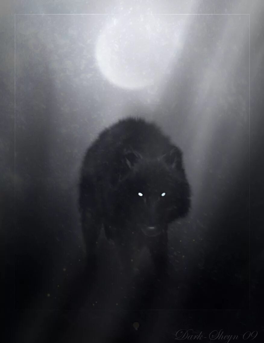 Глаза волка ночью. Волк со светящимися глазами. Волк в темноте. Черный волк. Глаза волка в ночи.