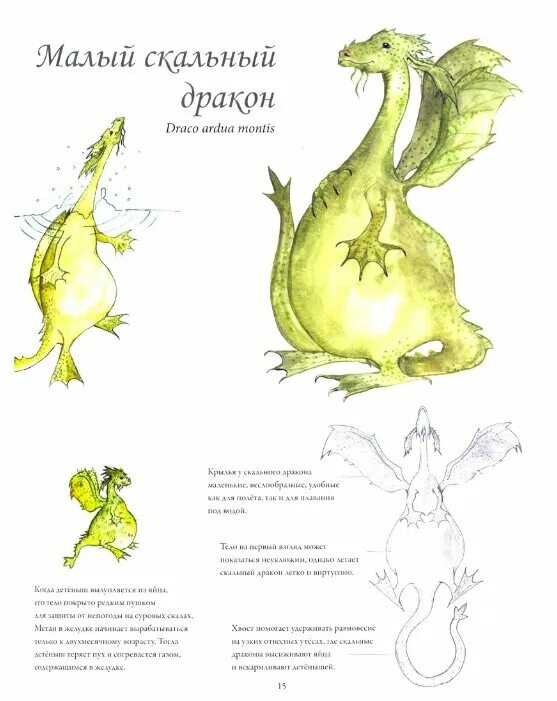 северные драконы и искусство их обнаружения книга. карин линдерут северные драконы и искусство их обнаружения. северный дракон архангельск. северный дракон книга. северный дракон.