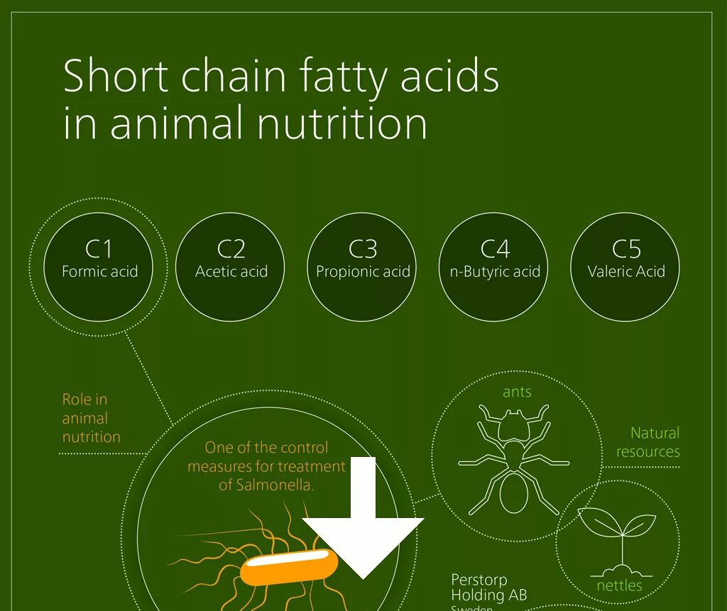 Short chain fatty acids. Scfas иммунология. The circulation of substances. Печень и микробиота. Short chain fatty acids.
