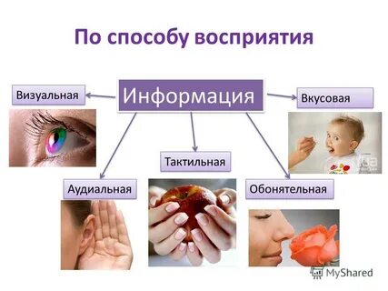 Методы восприятия личности