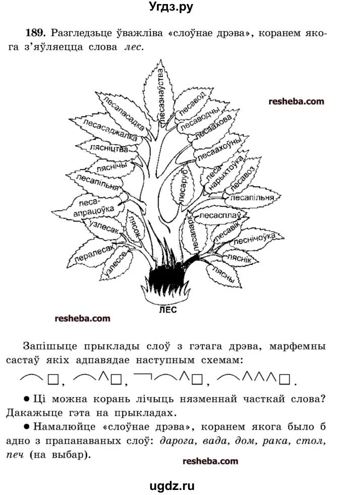 Домашние задания по белорусскому языку 2. Задания по беларускай мове 1 класс. сложная задача на белорусском языке.