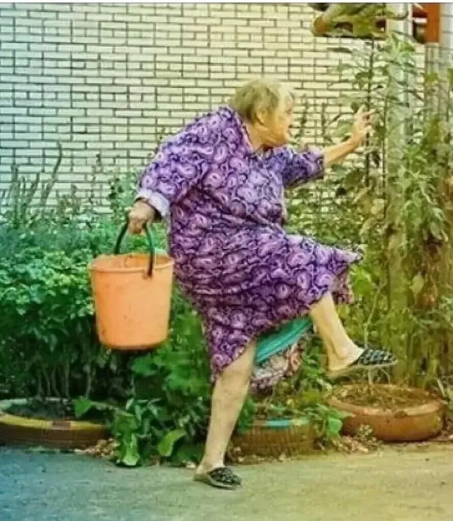 Тетя пошла. Бабка в огороде. Бабушка в огороде. Бабка с ведрами. Старухи на даче.