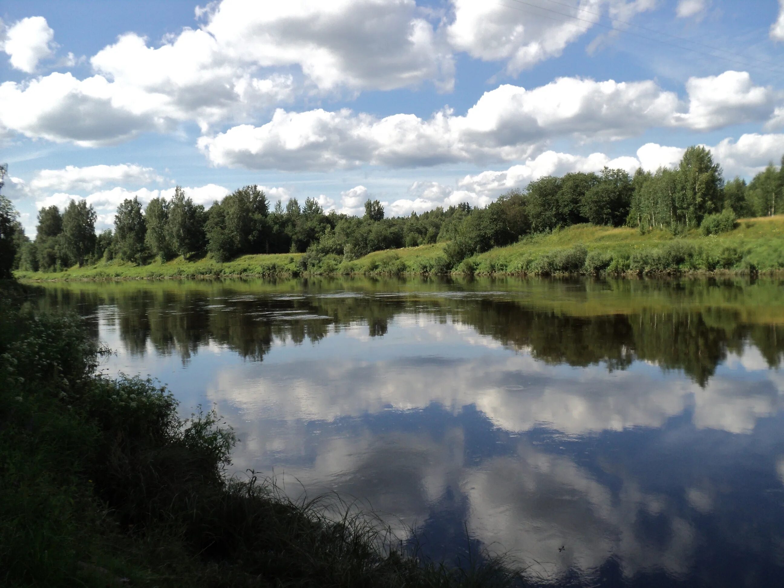 Река Маста Новгородская область. Река Мста Боровичи. Река Мста Удомельский район. Река мста новгородская область