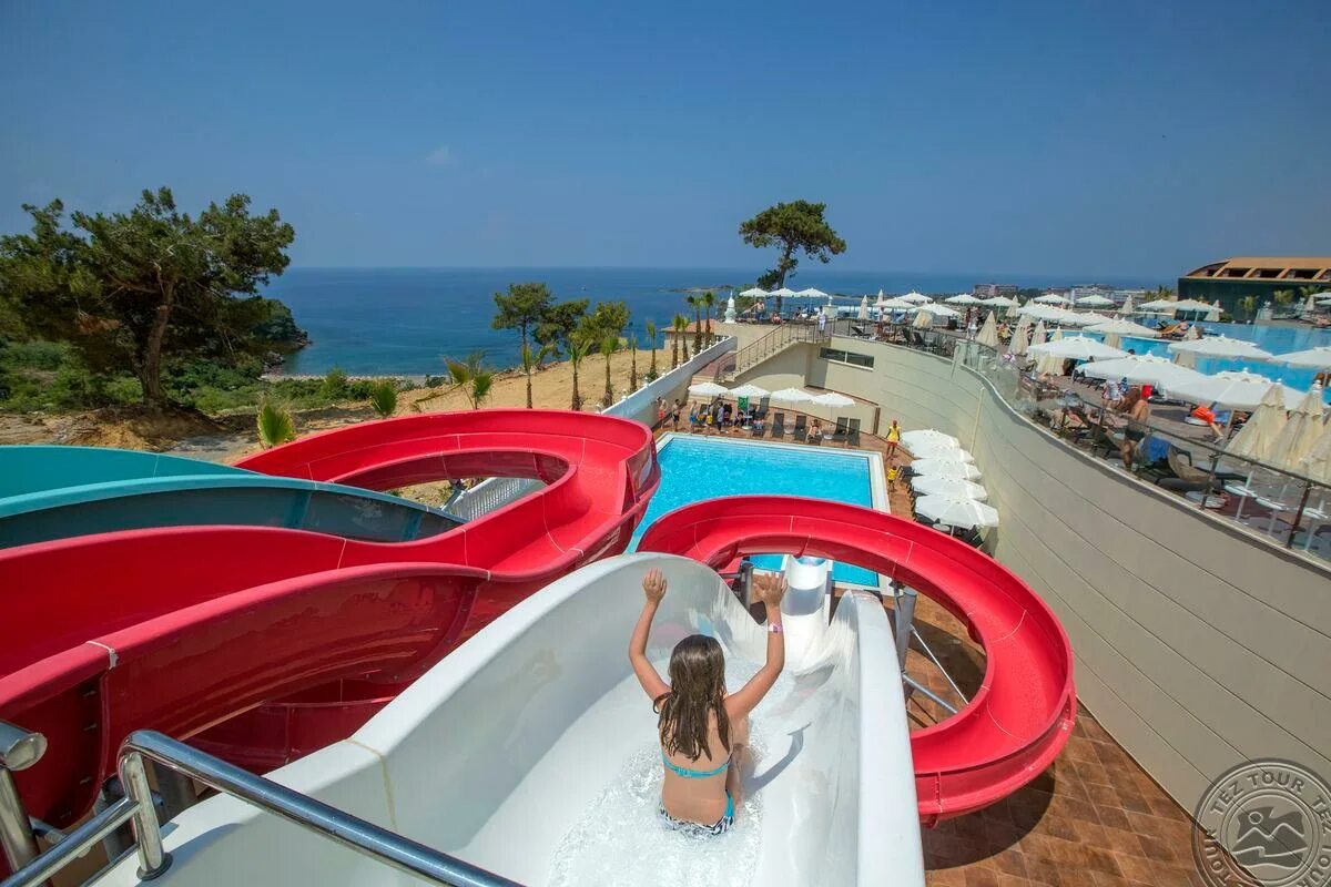 Литори резорт турция аланья 5. Ananas hotel 4* алания. Mc arancia resort 5 турция аланья. Кирман аркадия делюкс турция. Алания турция отели все включено 1 линия.