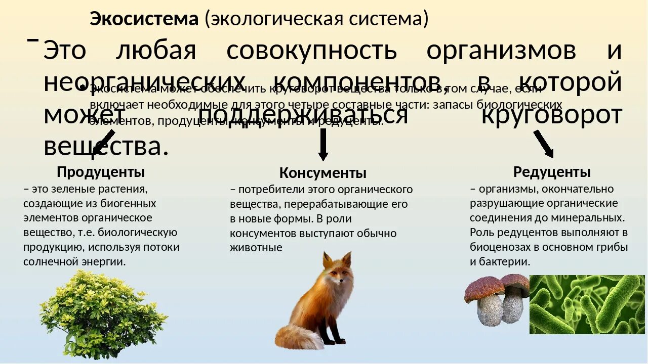 Консументы редуценты продуценты таблица консументы 1 порядка. Роль организмов в экосистеме. Рль организмовв эуосистеме. Роль живых организмов в экосистеме. Продуценты потребляют готовые органические вещества