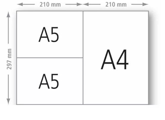 Печатный лист сколько листов а4