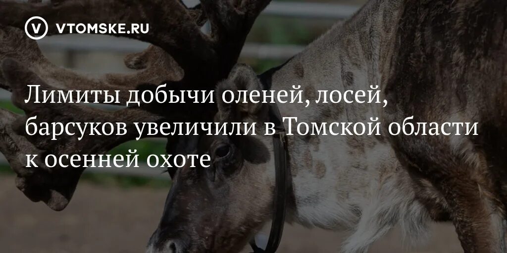 Лимит добычи животных. Лимит добычи животных