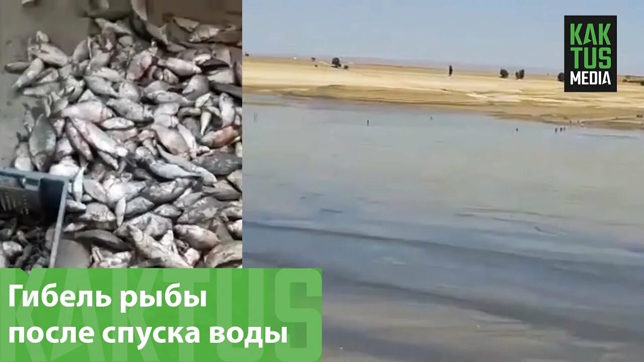 Нижне ала Арчинское водохранилище. Ала Арчинское водохранилище в Киргизии. Нижне ала Арчинское водохранилище Бишкек. Ала Арча водохранилище.