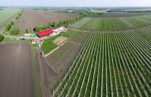 Кубань бизнес