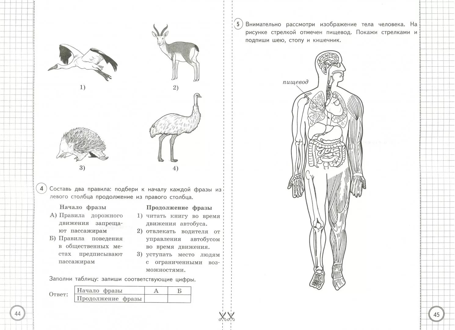 Результаты впр окружающий мир 4 класс. ВПР окружающий мир 4 класс типовые задания 25 вариантов. ВПР по окружающему миру 4 класс задания. ВПР 4 класс 2022 окружающий мир Волкова Цитович 8 вариантов. ВПР по окр 4 класс Волкова Цитович.