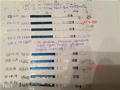 Тест на беременность после задержки. Тесты на беременность по дням. Тесты по дням задержки. Тест на беременность после зачатия. Тест на беременность неделя после акта