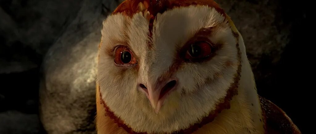 Ga hoole guardians the owls legend. Легенды ночных стражей мультфильм 2010. Легенды ночных стражей Клудд. Найра ночные Стражи. Легенды ночных стражей Клудд арт.