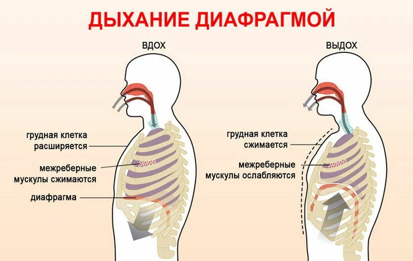 Поем задыхаюсь