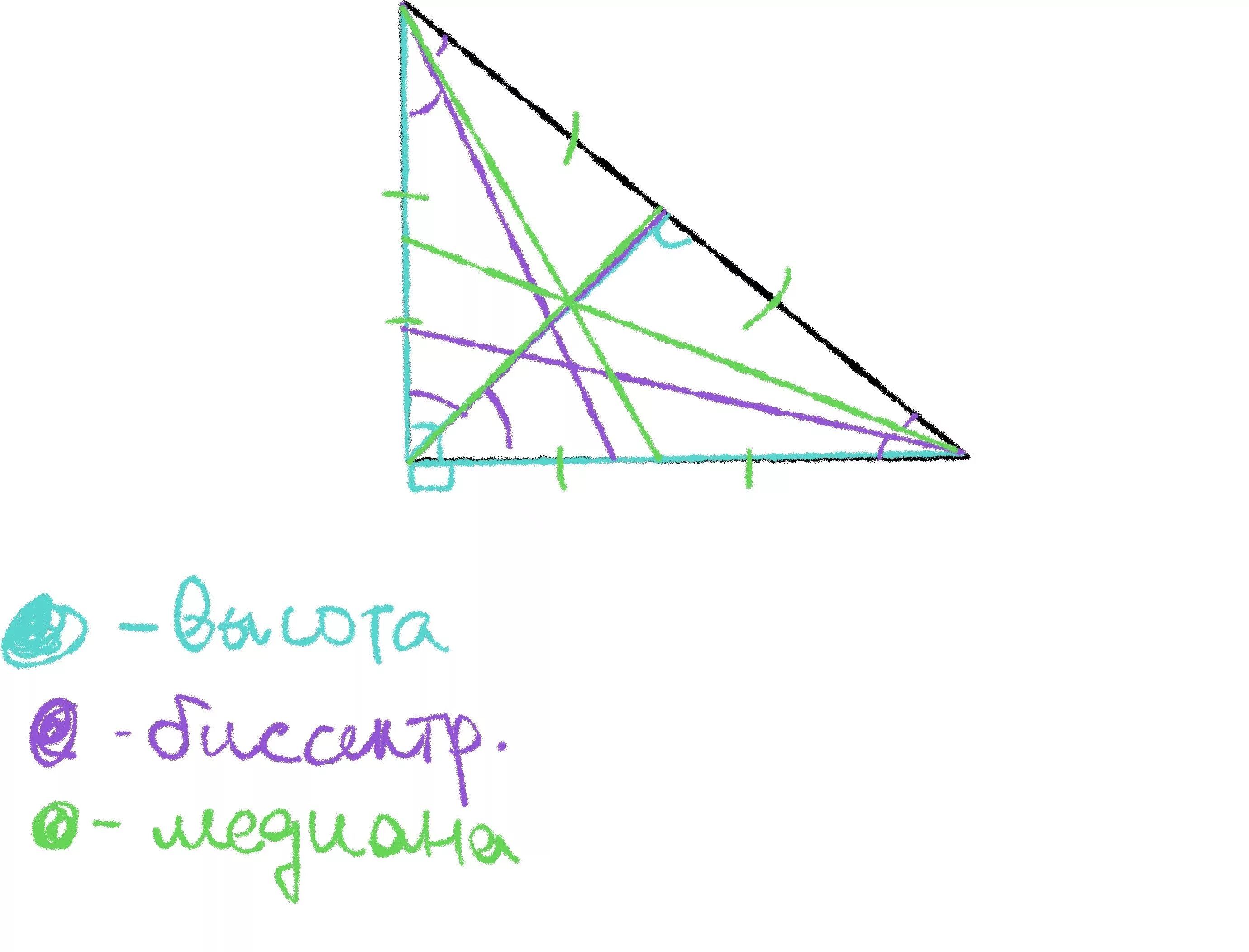 Построение высоты в остроугольном тупоугольном прямоугольном треугольнике. Биссектриса тупоугольного треугольника. Медиана тупоугольного треугольника. Биссектираитреугольника тупоугольного. 3 Медианы в тупоугольном треугольнике.