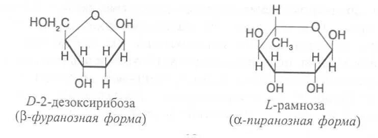 Пентоза рибоза. Пентоза рибоза. Пентоза входящая. Пентоза структурная формула. Пентоза входящая.