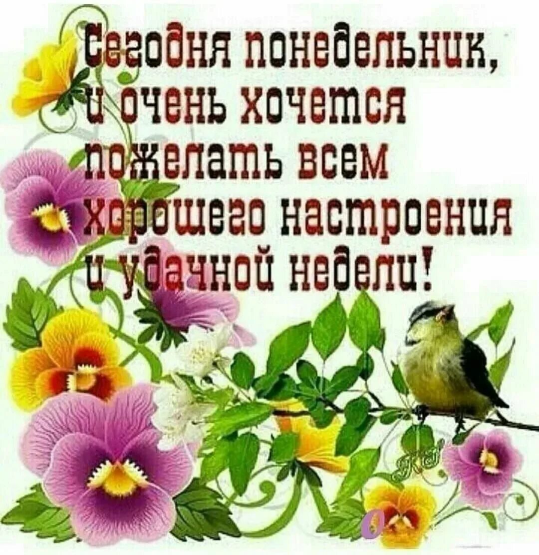 Доброе утро понедельник отличного дня. Поздравление с понедельником. пожелания доброго понедельника. пожелания с добрым утром понедельника. красивое поздравление с понедельником.