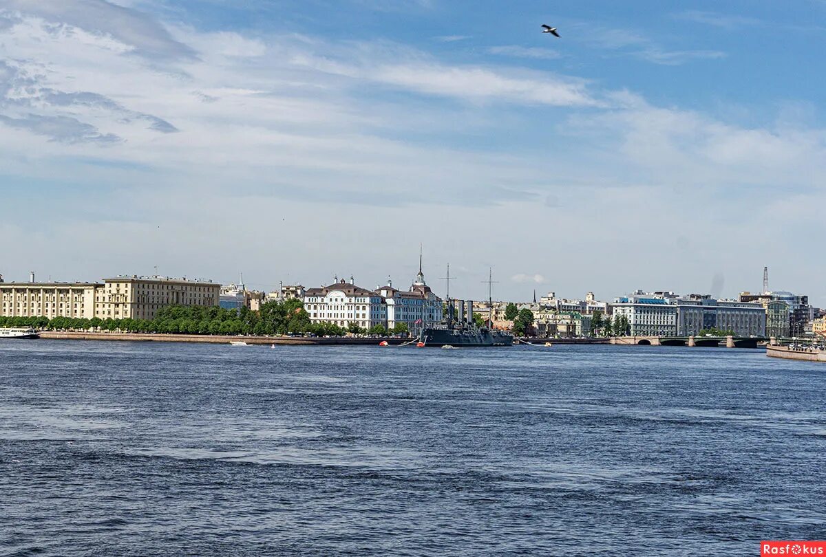 спб металл дворцовый мост. агентство недвижимости простор логотип. невские просторы. туроператор невские просторы. невские просторы смотреть картинки.