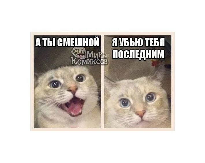 Збазиба любезный лимур. Ты смешеой сожру онбч полелним. А ты смешной. А ты смешной съем тебя последним. А ты смешной убью тебя последним.