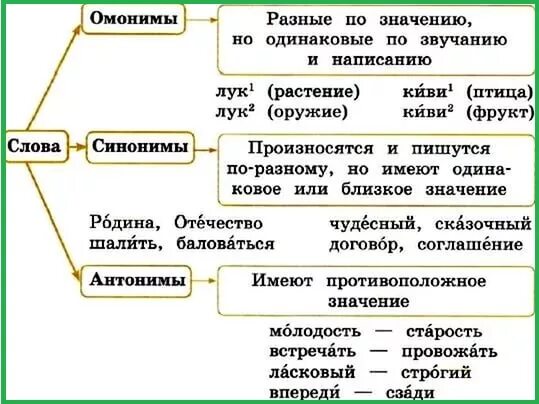 Слова имеющие близкие значения. Правило синонимы антонимы омонимы 4 класс. Правила по русскому языку синонимы антонимы омонимы. Памятка синонимы антонимы омонимы 2 класс. Русский язык 5 класс омонимы синонимы антонимы.