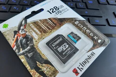 Kingston canvas go microsdxc