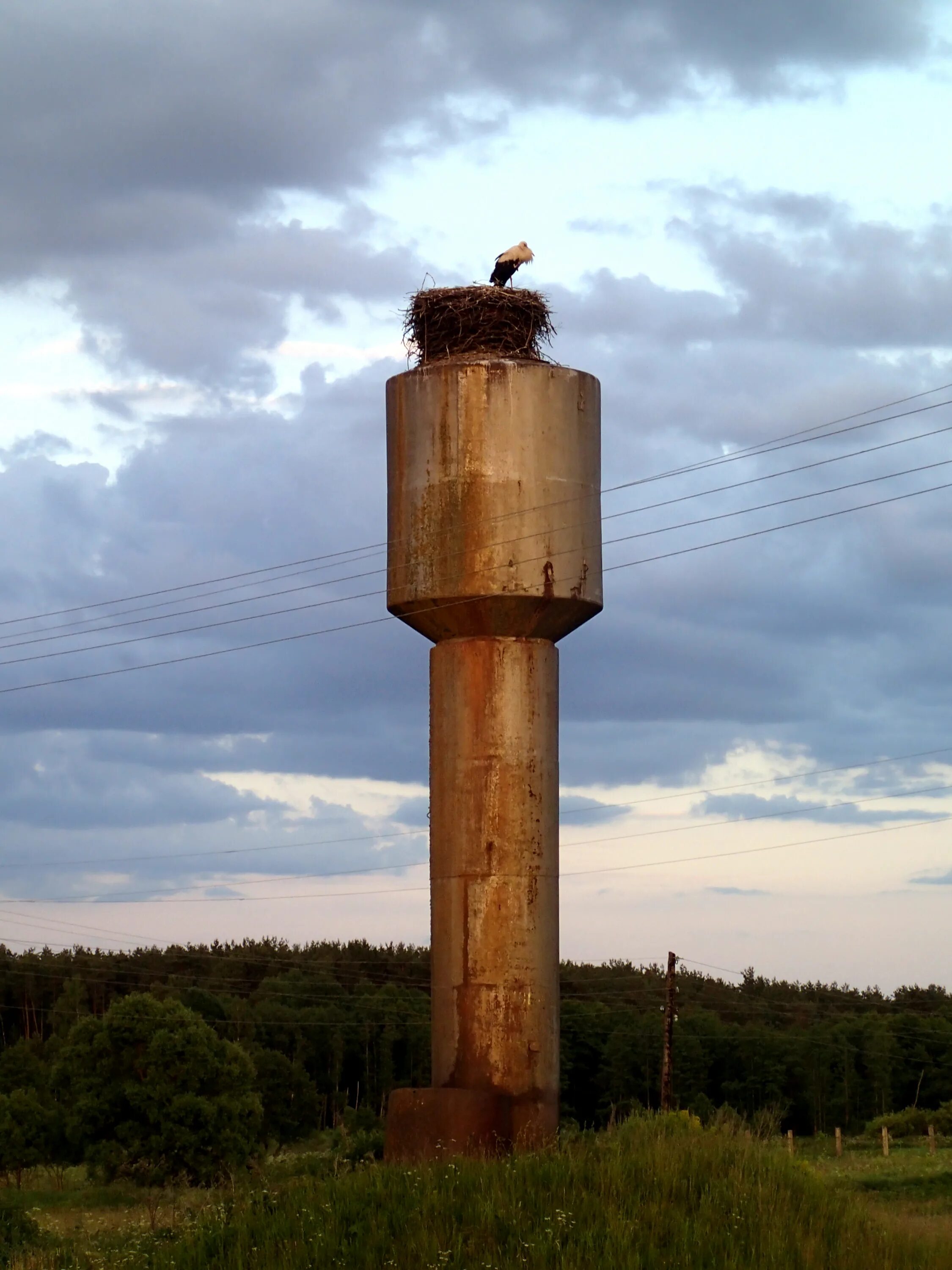 погода в бытоши брянской. погода в бытоши брянской. бытошь дятьковского района. ивот брянская область. погода в бытоши брянской.