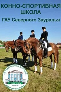 Конный спорт институт